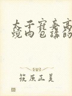 太子宠妾高肉红烧肉包讲的什么