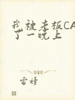 我被老板CAO了一晚上封面