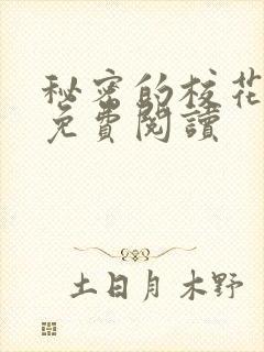 秘密的校花小说免费阅读