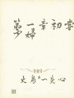 第一章初尝极品少妇