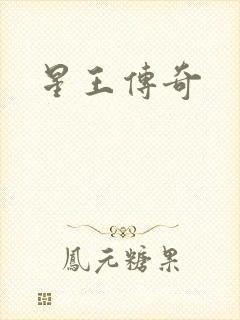 星王传奇