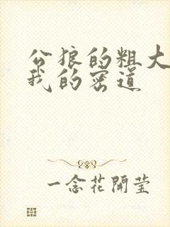 公狼的粗大挺进我的密道