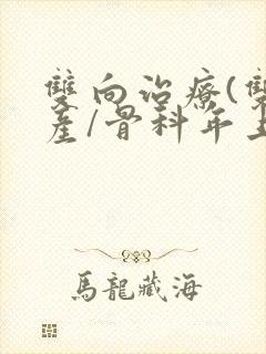 双向治疗(双/产/骨科年上)