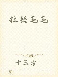 拉丝毛毛