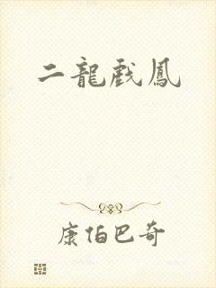 二龙戏凤