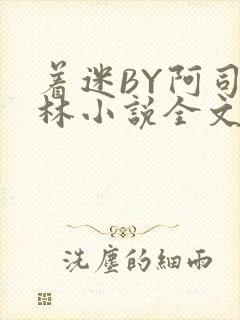 着迷BY阿司匹林小说全文免费阅读封面