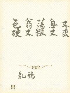 色翁荡息又大又硬又粗又爽小莹