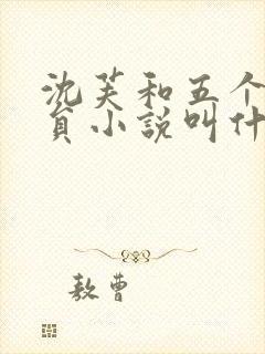 沈芙和五个消防员小说叫什么