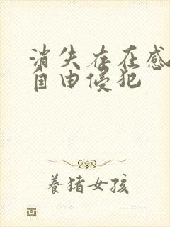 消失存在感消失自由侵犯