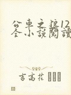 公车之狼12集全小说阅读封面