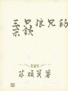 三只狼兄的宠妻宋钦