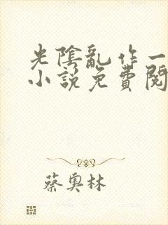 光阴乱作一团的小说免费阅读