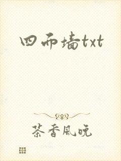 四面墙txt