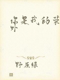 你是我的荣耀番外