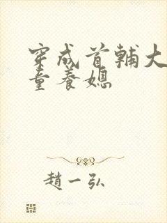 穿成首辅大人的童养媳