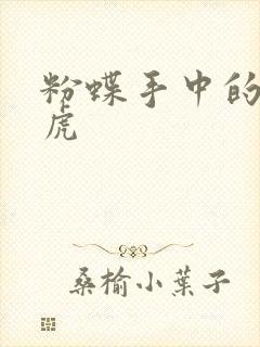 粉蝶手中的纸老虎