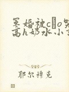 军婚被cαo哭高h奶水小说封面