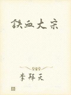铁血大宋封面