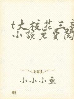 t大校花三部曲小说免费阅读全文封面