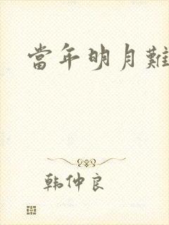 当年明月难寻封面