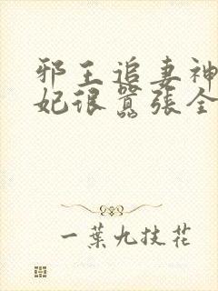 邪王追妻神医狂妃很嚣张全文免费