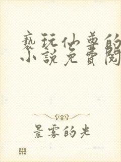 亵玩仙尊的道侣小说免费阅读