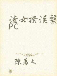 渣女撩汉系统NPC