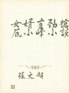 女婿有劲枪枪到底小峰小说