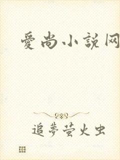爱尚小说网
