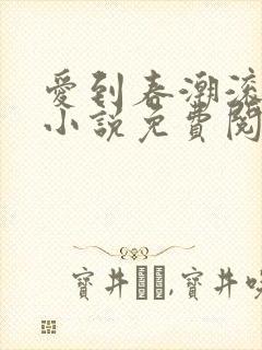 爱到春潮滚滚来小说免费阅读