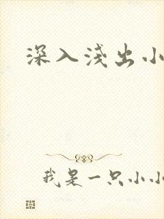 深入浅出小说