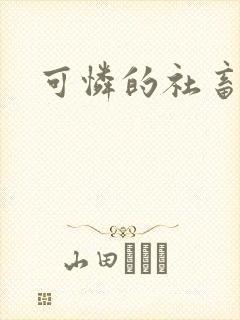 可怜的社畜分手