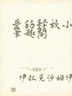 爱的释放小说 笔趣阁