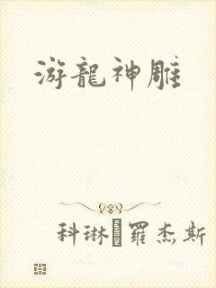 游龙神雕封面
