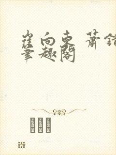 崔向东 萧错 笔趣阁