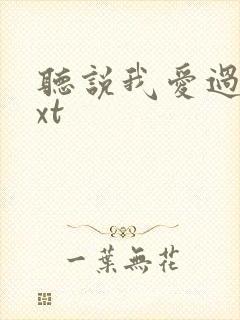 听说我爱过你txt