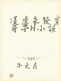 凌虐未发育的小身子H小说封面