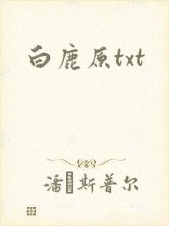 白鹿原txt