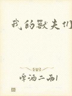 我的兽夫们封面