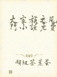 大家族之风流豪门小说免费阅读封面