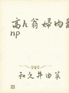 高h翁妇肉乱文np封面