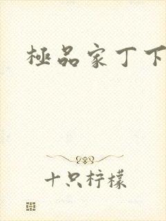 极品家丁下载封面