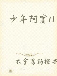 少年阿宾11封面