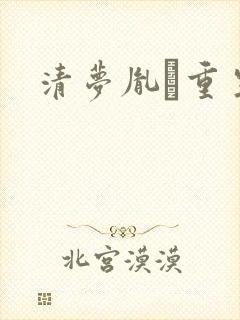 清梦胤礽重生封面