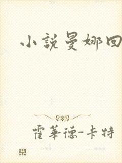 小说曼娜回忆录封面