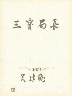 三宝局长封面