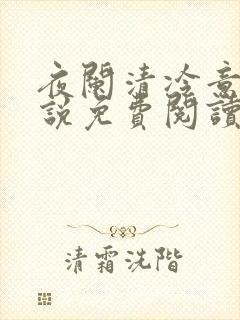 夜阑清冷意欢小说免费阅读