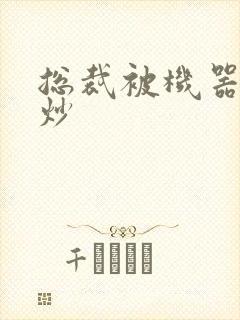 总裁被机器人爆炒封面