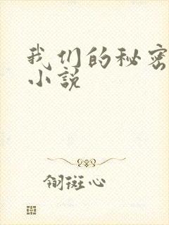 我们的秘密泰剧小说
