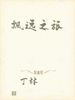 飘逸之旅封面